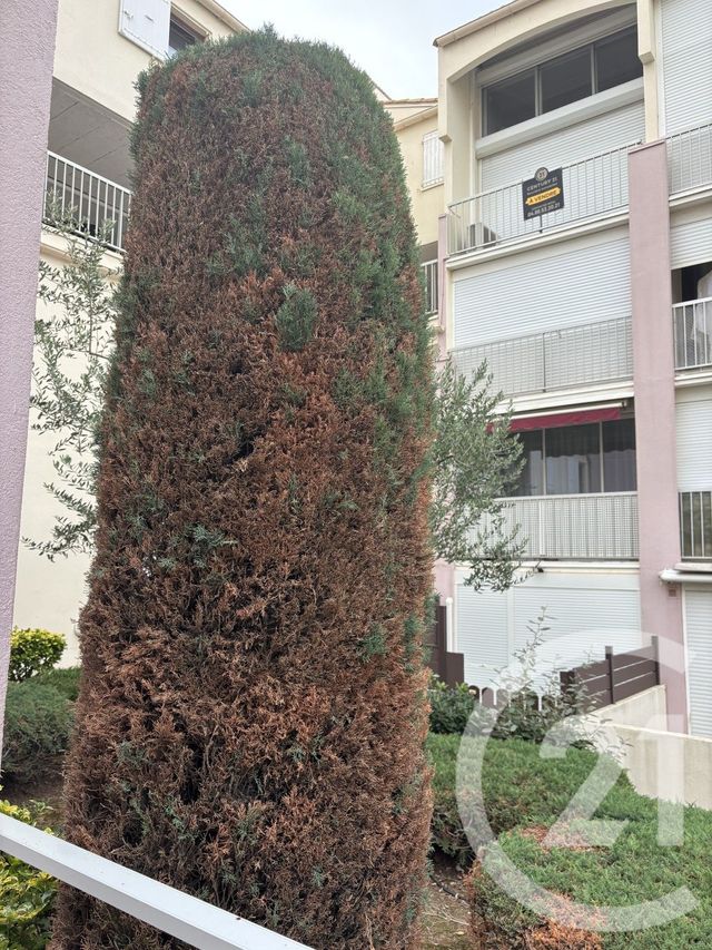 Afficher la photo en grand Appartement à vendre - 3 pièces - 37.85 m2 - LE GRAU DU ROI - 30 - LANGUEDOC-ROUSSILLON - Century 21 Rouvière Immobilier