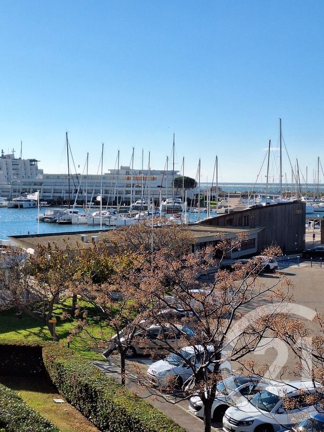 Appartement Studio Cabine à vendre - 1 pièce - 20.85 m2 - LE GRAU DU ROI - 30 - LANGUEDOC-ROUSSILLON - Century 21 Rouvière Immobilier